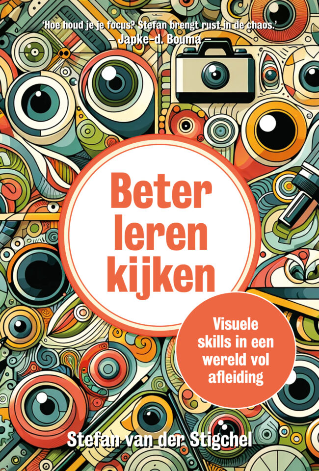 MAVEN Beter leren kijken cover cover